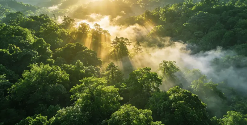 迪庆肺癌靶向120基因检测（组织）图片1