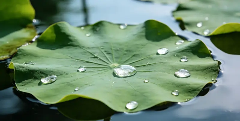 迪庆乳腺癌21基因mRNA表达分析图片1