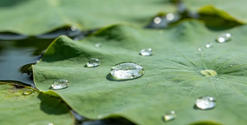 乳腺癌21基因mRNA表达分析图3