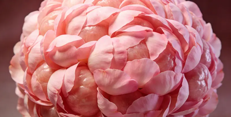 迪庆BRCA1/2乳腺癌卵巢癌基因检测图片1